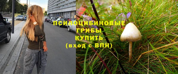 молекула духа Семикаракорск