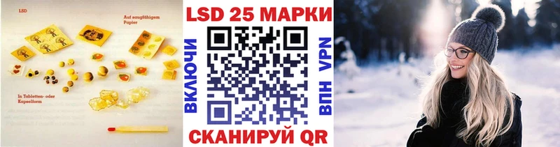 omg ссылки Дмитриев ЛСД экстази ecstasy
