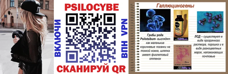 Псилоцибиновые грибы прущие грибы где продают наркотики Дмитриев